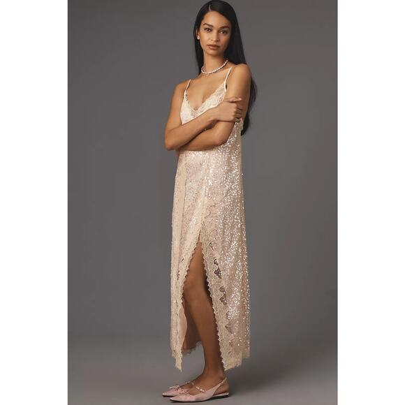 NWT Anthropologie En Elly Sleeveless V-Neck Lace Sequin Slip Midi Dress Small - Picture 2 of 4